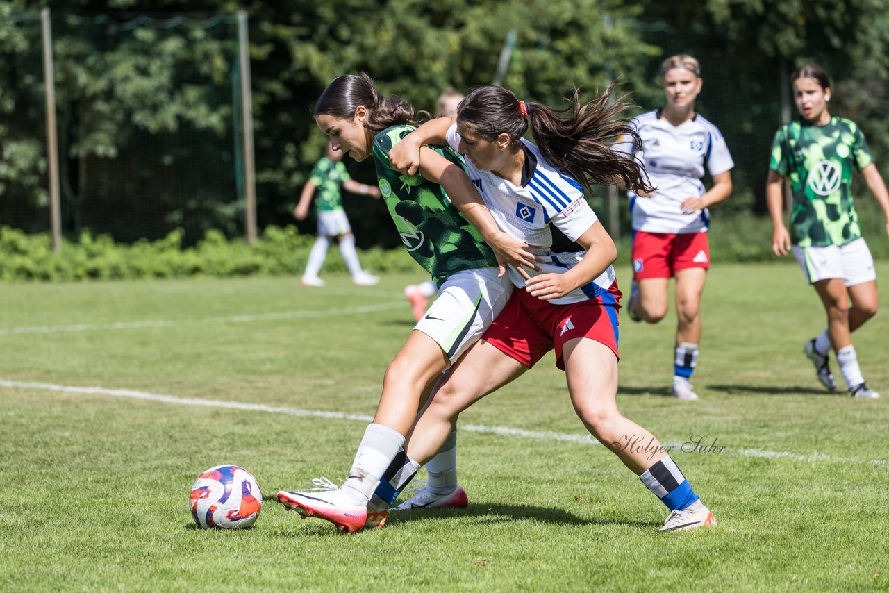 Bild 237 - wBJ Hamburger SV - VfL Wolfsburg : Ergebnis: 5:1